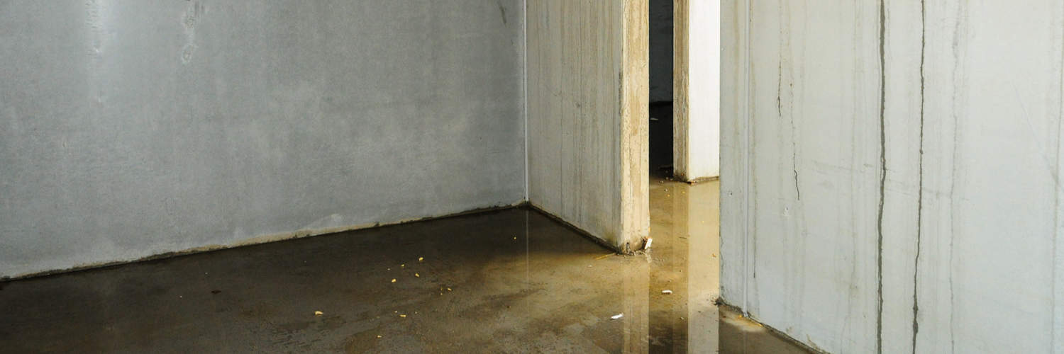 Basement Waterproofing East Peoria IL